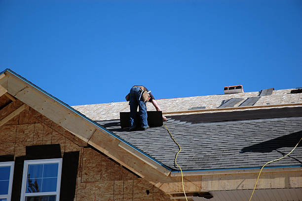Best Roof Moss and Algae Removal  in Goodwater, AL