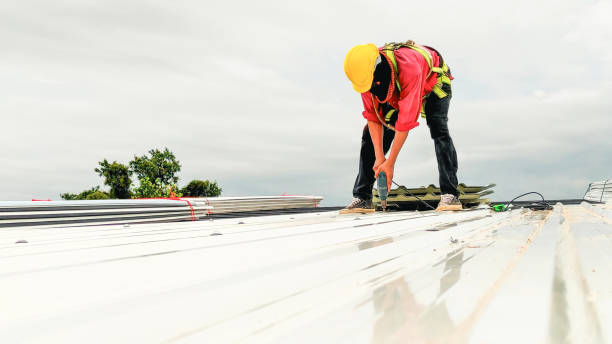 Best 4 Ply Roofing  in Goodwater, AL