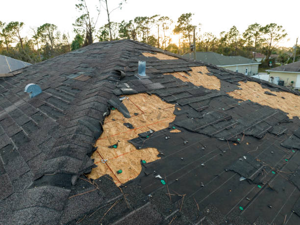 Best Slate Roofing  in Goodwater, AL
